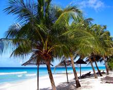 Наиболее высокие ставки аренды отмечаются на западном побережье острова Барбадос