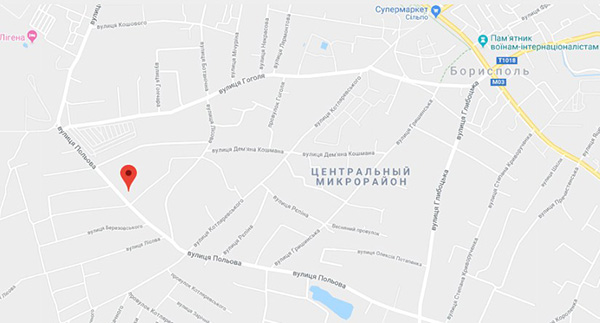 Таунхаус Borispol Village на карте