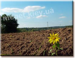 История землепользования в Украине, землепользование, землеустройство